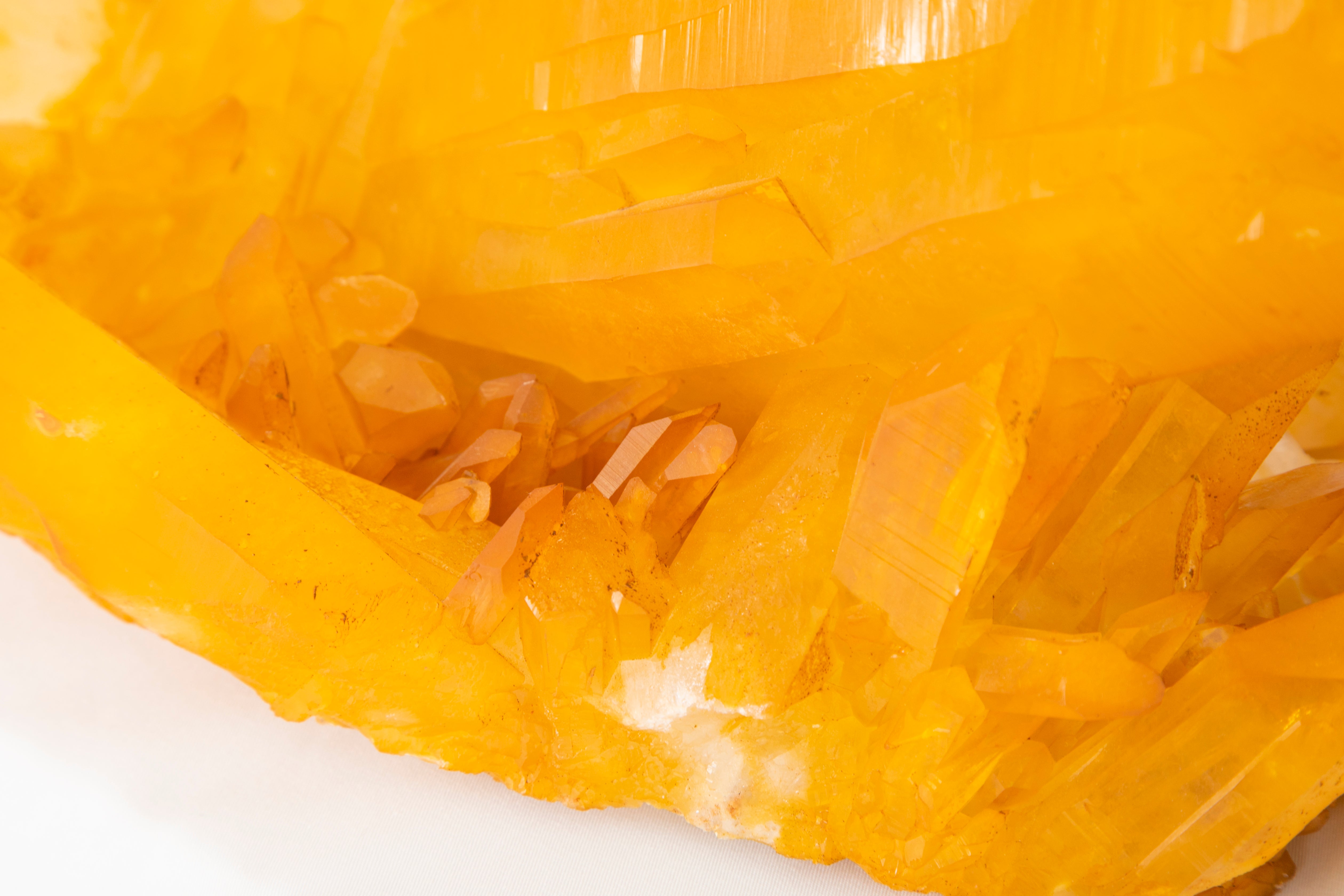 出会った瞬間 抱きついてしまった】プレミアム・アーカンソー