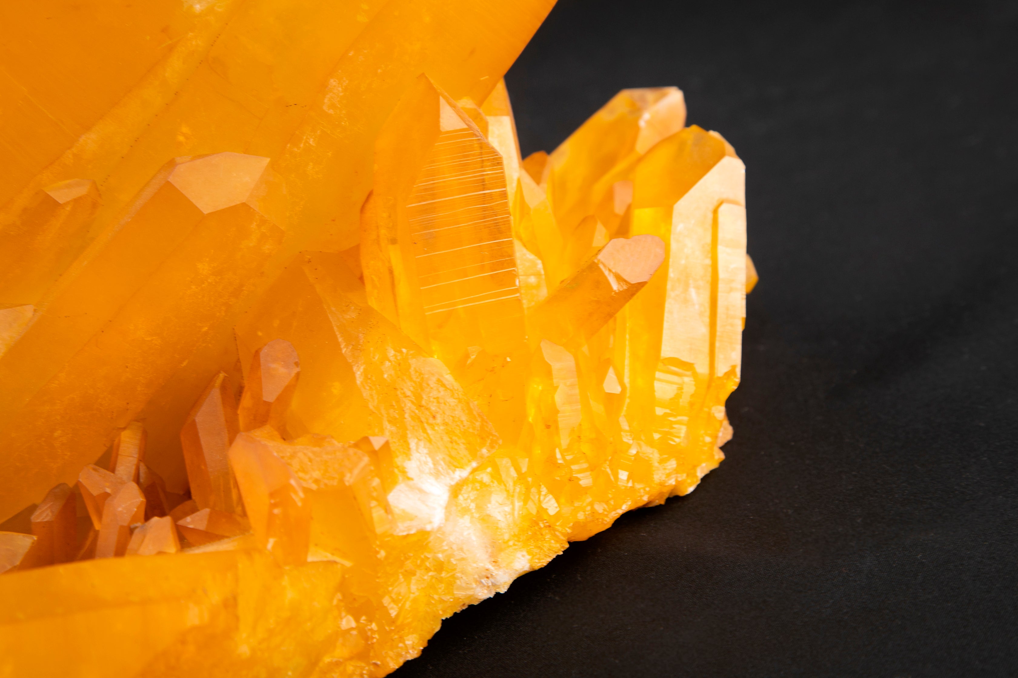 出会った瞬間 抱きついてしまった】プレミアム・アーカンソー