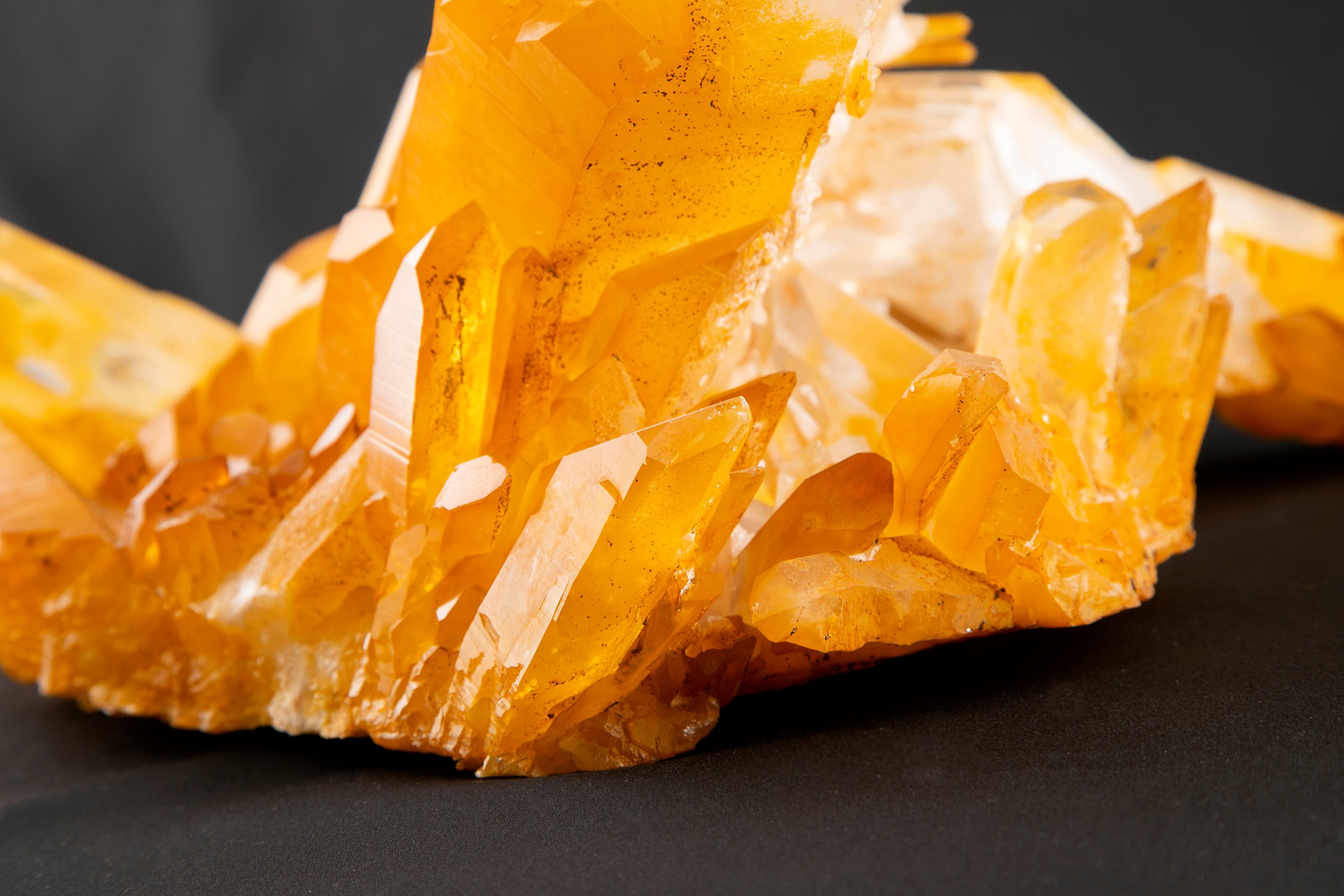 出会った瞬間 抱きついてしまった】プレミアム・アーカンソー