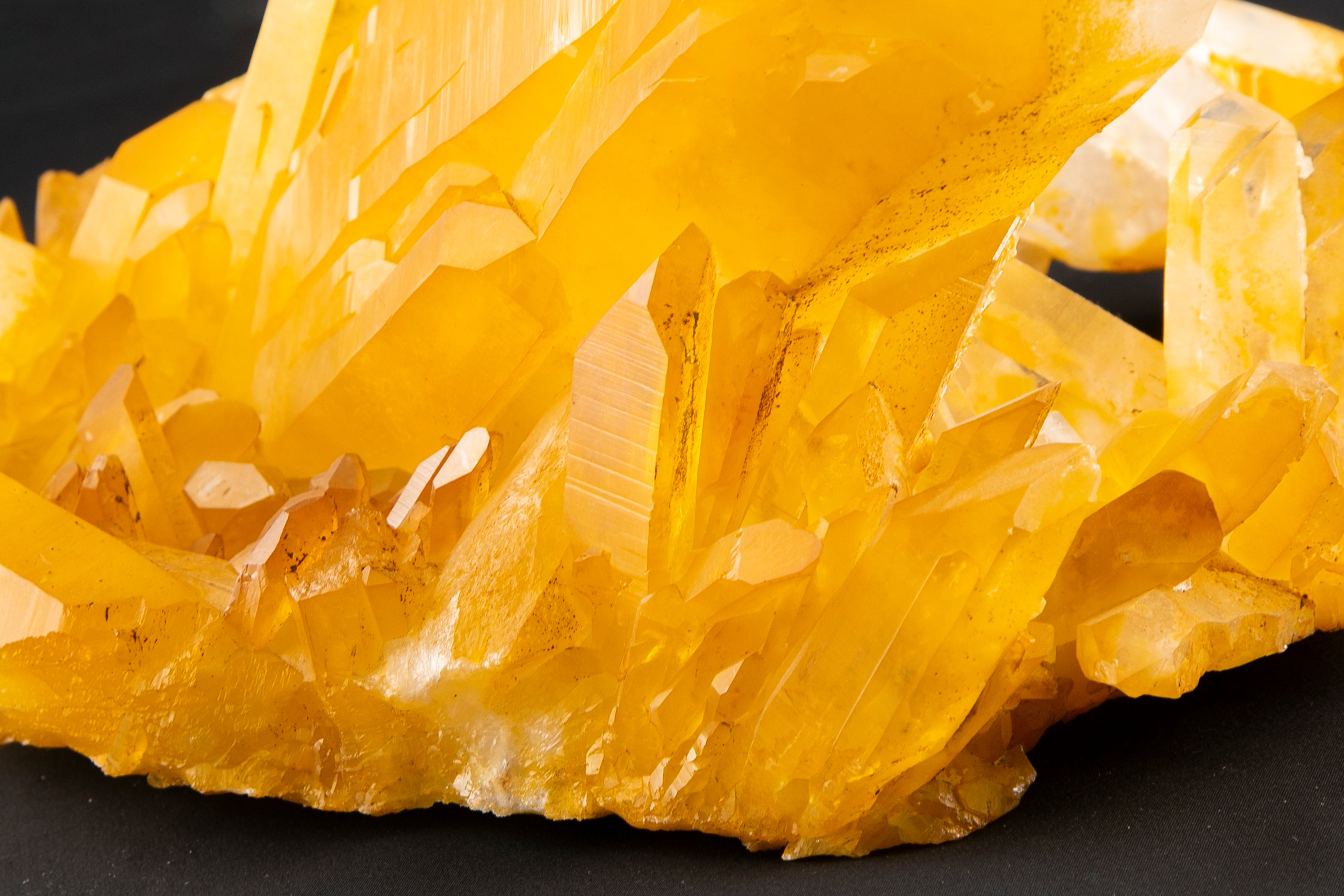 出会った瞬間 抱きついてしまった】プレミアム・アーカンソー