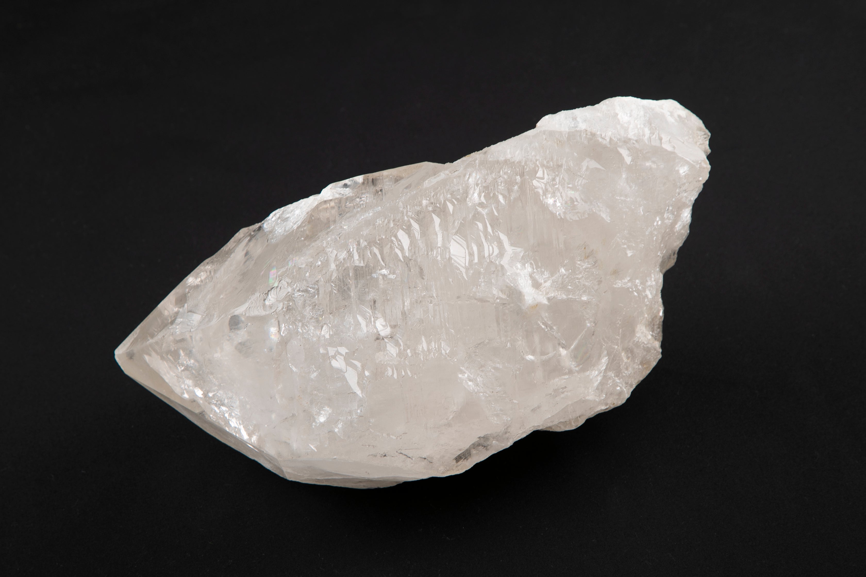 出逢えた奇跡に感動ヒストリー】プレミアム・ロシアンレムリアン（証明