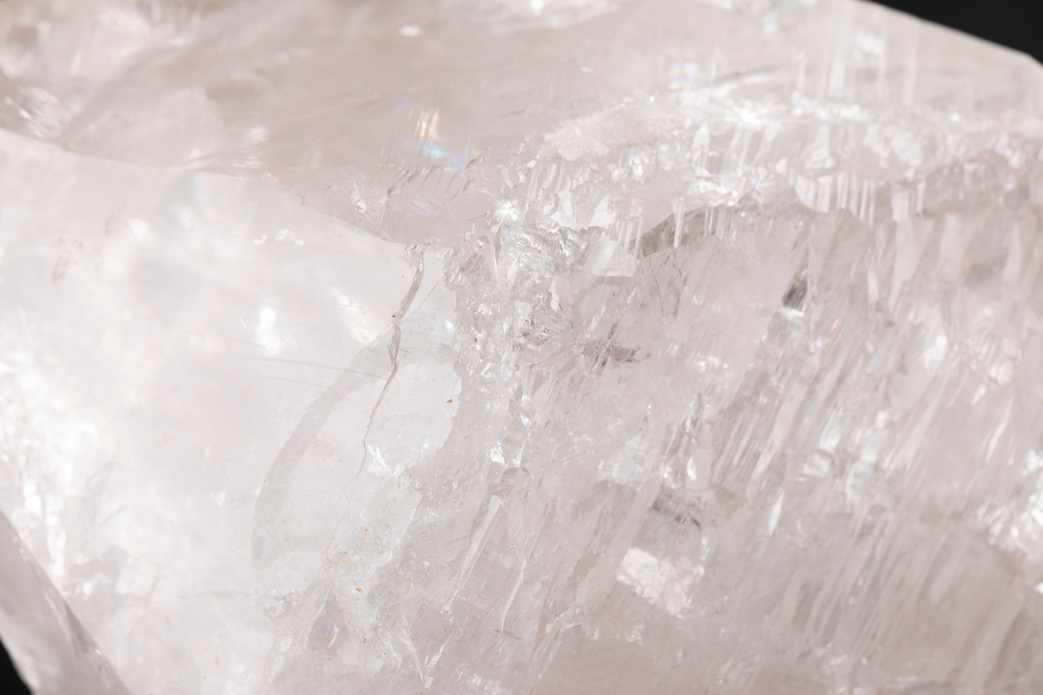 出逢えた奇跡に感動ヒストリー】プレミアム・ロシアンレムリアン（証明